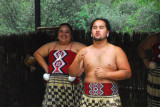 Maori cultural performance, Kiwi & Birdlife Park