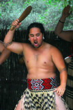 Maori cultural performance, Kiwi & Birdlife Park