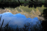 Its best to stop at Mirror Lakes in the morning when it is calm
