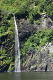 Fairy Falls, Milford Sound