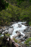 Fiordland National Park