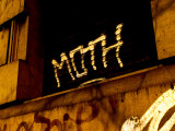 This is a moth