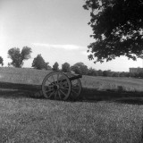 Valley Forge NP Cannon