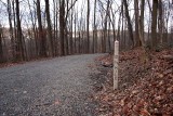 Mile Post 12.5