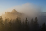 Saddleback LO into the Mist