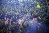 Air Tahoe 33 Smoke
