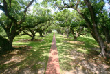 Oak Valley Plantation