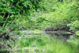 Green Empire