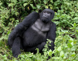rwanda 2008 kwitonda group