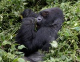 rwanda 2008 kwitonda group