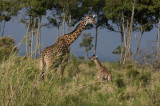 Africa 2008  mother and 1 day old