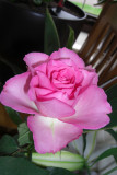 CIMG0659w