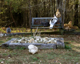 chickens ... and Bonnie.jpg