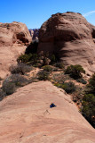 Joe Tripod, dwarfed by fins