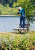 Abuse of a telephoto lens... 20070620_2353