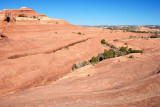 Surprise---a garden amidst the sandstone