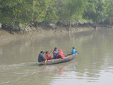 Dug-out in the Sundarbans