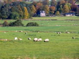 025 Otterburn.
