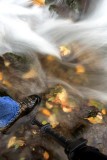 Wide Angle View Of A Stream, Tripod & A Bigfoot