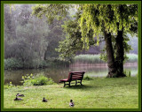 Red bench between green