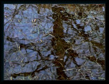 Puddle