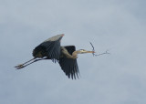 Blue Heron Air delivery 2