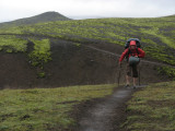 Muddy path