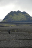 Sheila heading toward a mountain