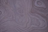 Patterns in the sand