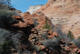 Some rocks
