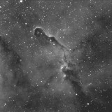 La Trompe dlphant, IC 1396A-vdB 142