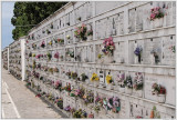 San Michele, the Cemetary Island