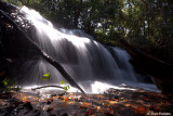 Fouta Djalon - Falls