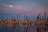 _MG_5343 as Moon Over Pink Clouds.jpg