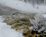 Yellowstone_2008_0086.jpg