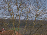 P1000141RT.jpg
