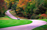 Winding Road_LechworthSP03.jpg