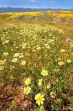 HHB080409_120728.jpg