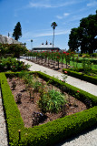 Botanic Gardens with Conservatorium of Music in background
