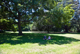 Couple under tree in Botanic Gardens