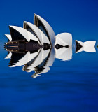 Sydney Opera House abstract