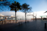 Sydney Harbour early morning fog