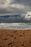 Warriewood storm portrait