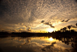 Narrabeen sunset