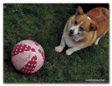 QUINCY, HOARDING THE BALL