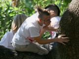 tree climbers