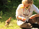 Julie with a bold Ruffed Grouse
