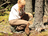 Julie with a bold Ruffed Grouse