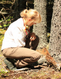 Julie with a bold Ruffed Grouse