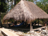 Hammocks in the shade